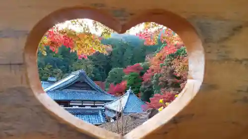 柳谷観音　楊谷寺の景色