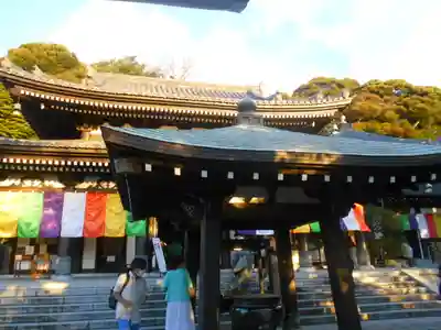 長谷寺の本殿・本堂