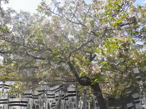 旗上弁財天社の自然