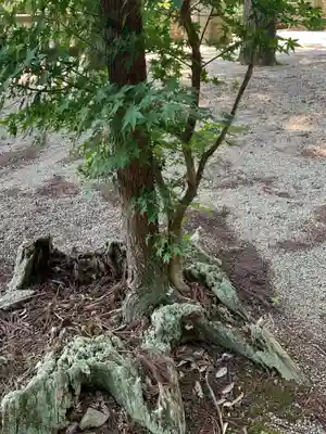 伊王野温泉神社(栃木県)