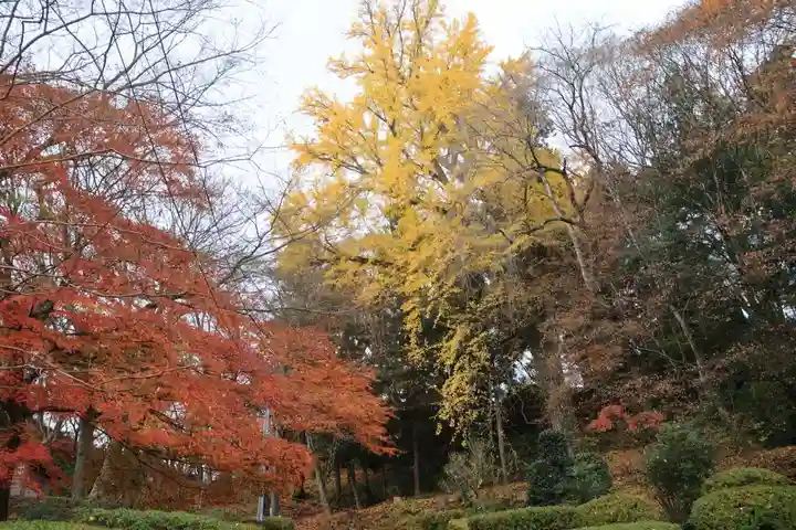 三春大神宮の自然