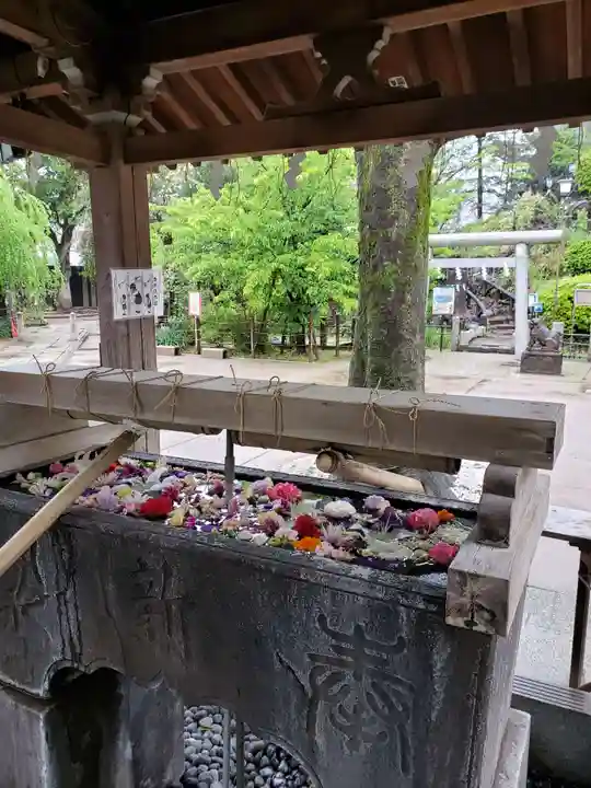 鳩森八幡神社の自然