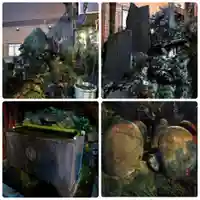 柳森神社(東京都)