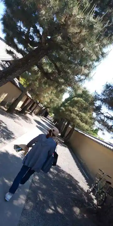 養徳院(京都府)