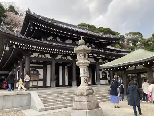 長谷寺の本殿・本堂
