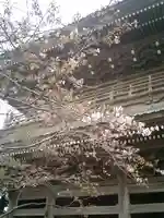 光明寺(神奈川県)