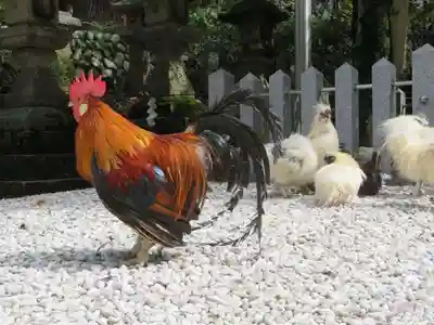 石上神宮(奈良県)