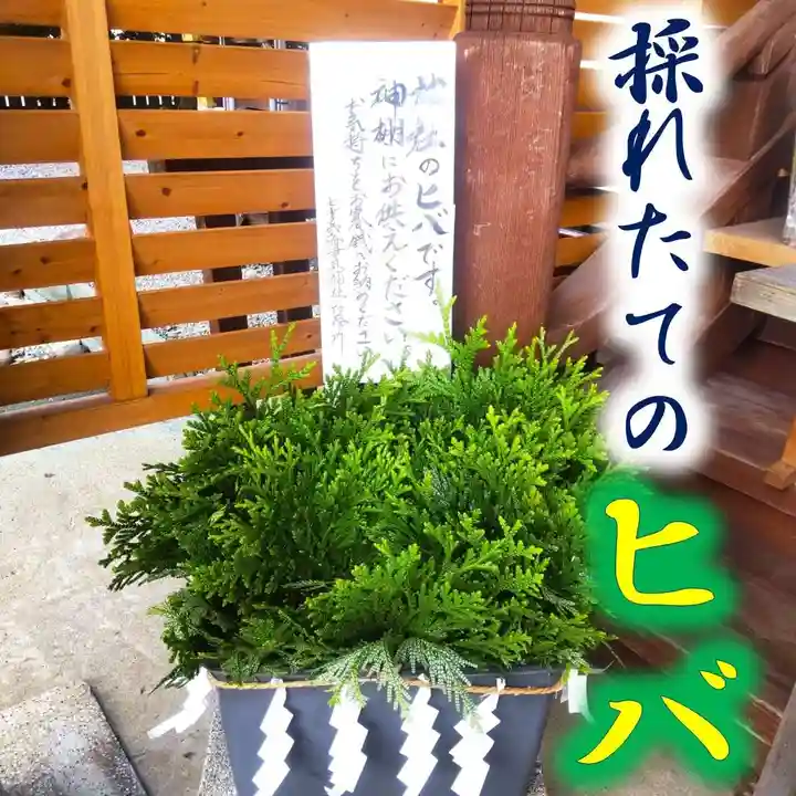 七重浜海津見神社(北海道)