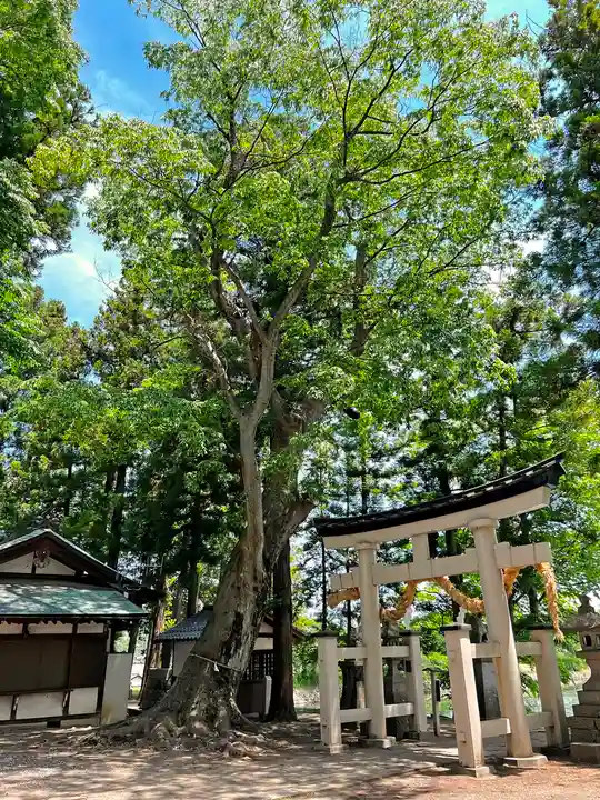 治田神社下の宮の自然