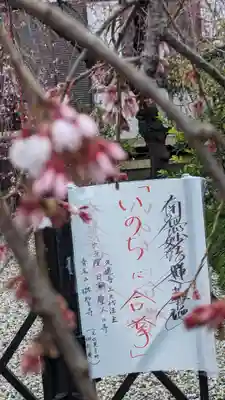 琳聖寺(京都府)