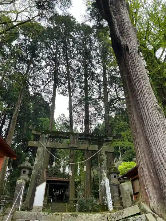 高森阿蘇神社(熊本県)