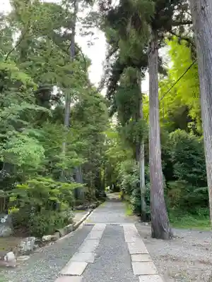 正伝護国禅寺(正伝寺･正傳寺)(京都府)