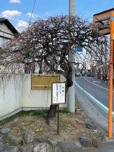 清泰寺の庭園