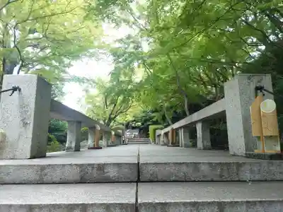 よみうりランド観音(東京都)