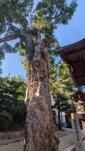 大将軍八神社(京都府)