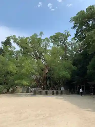 大山祇神社の自然