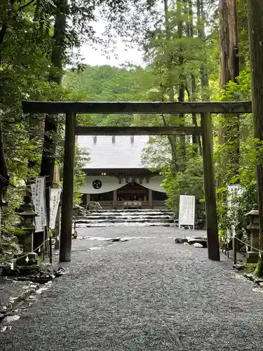 椿大神社の鳥居