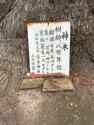 住吉神社の{uncategorized: "未分類", other: "その他", undefined: "問題あり", building: "その他建物", grave: "お墓", sacred_gate: "鳥居", guardian: "狛犬", statue: "像", buddha: "仏像", history: "歴史", nature: "自然", garden: "庭園", animal: "動物", pagoda: "塔", temizu: "手水舎", mountain_gate: "山門・神門", sanctuary: "本殿・本堂", subordinate: "末社・摂社", art: "芸術", scenery: "景色", jizo: "地蔵", ema: "絵馬", goshuin: "御朱印", omikuji: "おみくじ", items: "授与品その他", amulet: "お守り", goshuincho: "御朱印帳", eats: "食事", festival: "お祭り", votive_dance: "神楽", shichigosan: "七五三参", wedding: "結婚式", experience: "体験その他", initially: "初詣", around: "周辺", anti_infection: "感染症対策"}