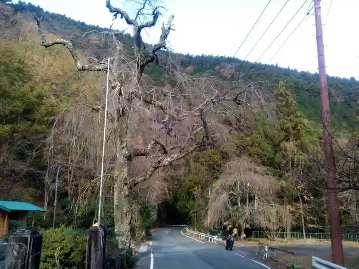 朝日之祖師堂の自然