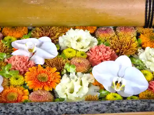 富岡八幡宮の手水舎