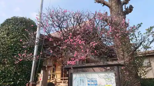 北野神社の自然
