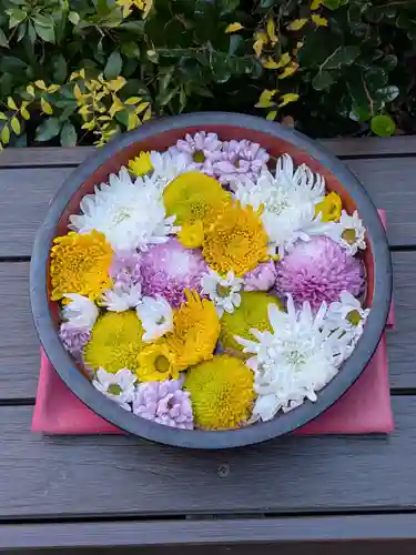 増上寺塔頭 三縁山 宝珠院(東京都)