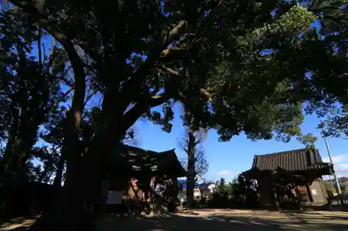 三島八幡神社の自然