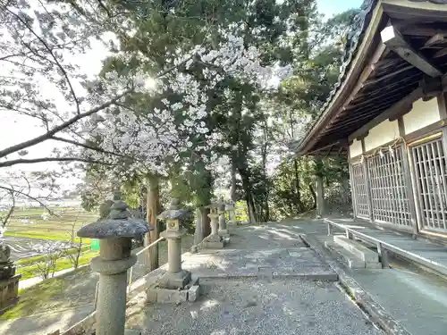 井林神社のその他建物