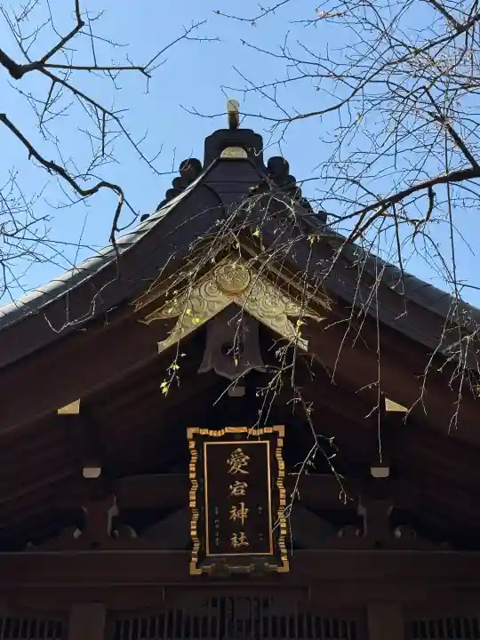 愛宕神社の{uncategorized: "未分類", other: "その他", undefined: "問題あり", building: "その他建物", grave: "お墓", sacred_gate: "鳥居", guardian: "狛犬", statue: "像", buddha: "仏像", history: "歴史", nature: "自然", garden: "庭園", animal: "動物", pagoda: "塔", temizu: "手水舎", mountain_gate: "山門・神門", sanctuary: "本殿・本堂", subordinate: "末社・摂社", art: "芸術", scenery: "景色", jizo: "地蔵", ema: "絵馬", goshuin: "御朱印", omikuji: "おみくじ", items: "授与品その他", amulet: "お守り", goshuincho: "御朱印帳", eats: "食事", festival: "お祭り", votive_dance: "神楽", shichigosan: "七五三参", wedding: "結婚式", experience: "体験その他", initially: "初詣", around: "周辺", anti_infection: "感染症対策"}