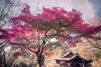 蚊里田八幡宮(長野県)
