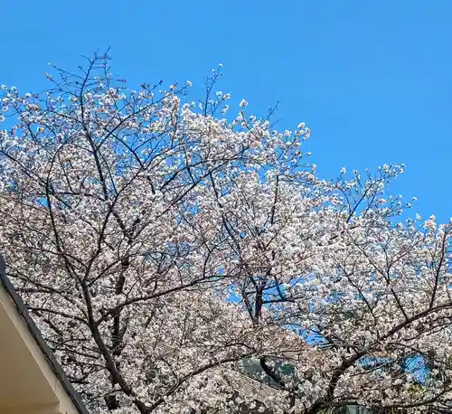 聖輪寺(東京都)