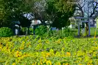 天照皇大神宮(神奈川県)