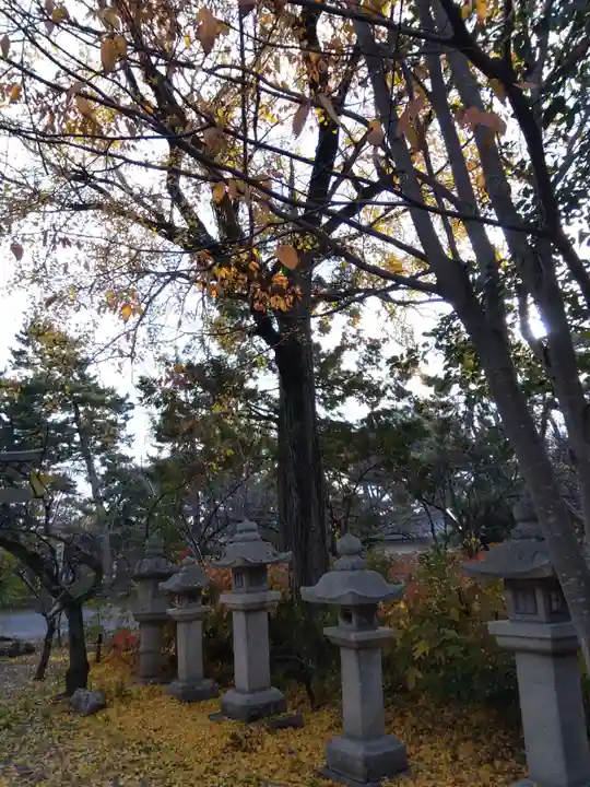 長浜八幡宮(滋賀県)