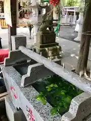 大宮・大原神社の手水