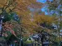 焼山寺(徳島県)