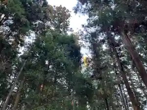 大宮温泉神社の自然(2023年03月21日(火) 10時51分57秒投稿)