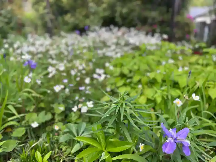 子安地蔵寺の{uncategorized: "未分類", other: "その他", undefined: "問題あり", building: "その他建物", grave: "お墓", sacred_gate: "鳥居", guardian: "狛犬", statue: "像", buddha: "仏像", history: "歴史", nature: "自然", garden: "庭園", animal: "動物", pagoda: "塔", temizu: "手水舎", mountain_gate: "山門・神門", sanctuary: "本殿・本堂", subordinate: "末社・摂社", art: "芸術", scenery: "景色", jizo: "地蔵", ema: "絵馬", goshuin: "御朱印", omikuji: "おみくじ", items: "授与品その他", amulet: "お守り", goshuincho: "御朱印帳", eats: "食事", festival: "お祭り", votive_dance: "神楽", shichigosan: "七五三参", wedding: "結婚式", experience: "体験その他", initially: "初詣", around: "周辺", anti_infection: "感染症対策"}