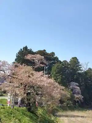 高司神社〜むすびの神の鎮まる社〜(福島県)