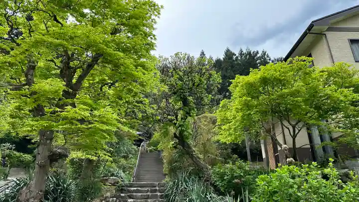 法雲寺(埼玉県)