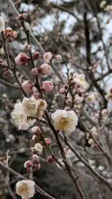 白雲神社(京都府)