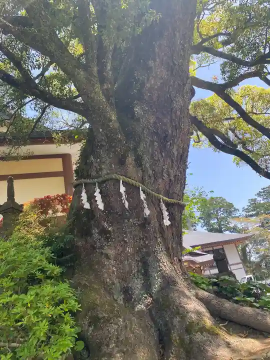 清澄寺(千葉県)