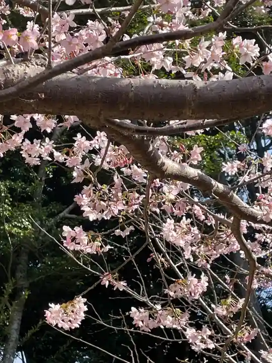 龍雲寺(静岡県)