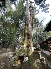 一言主神社(茨城県)