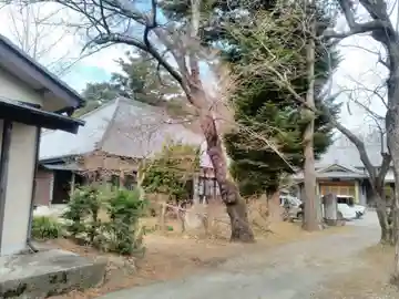 高龍寺の本殿・本堂