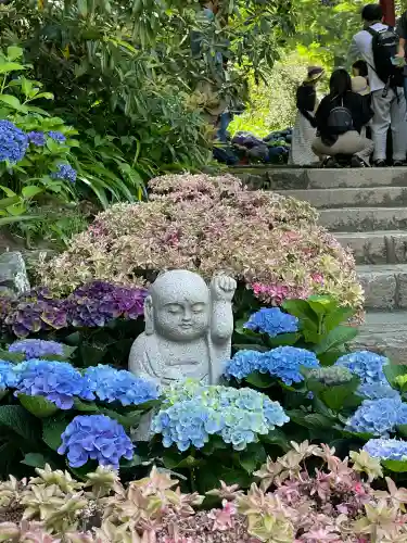 岡寺（龍蓋寺）(奈良県)