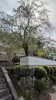 天正寺(滋賀県)