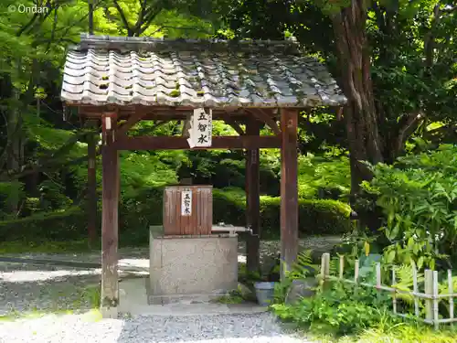 今熊野観音寺(京都府)
