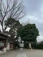 日吉神社(神奈川県)