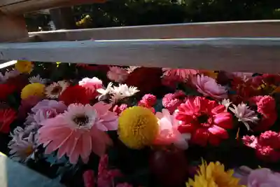 豊景神社の手水舎