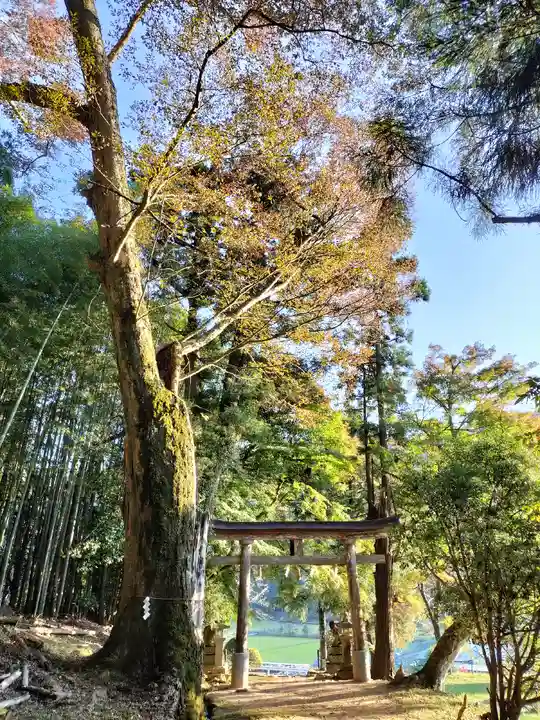 質美八幡宮(京都府)